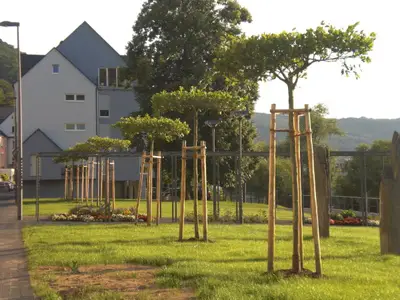 Ferienwohnung für 4 Personen (100 m²) in Bernkastel-Kues 9/10