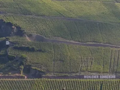 Aussicht auf Weingut  Wehlener Sonnenuhr