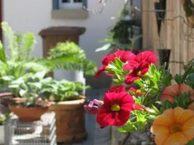 Ferienwohnung für 2 Personen (60 m²) in Bertsdorf-Hörnitz 10/10