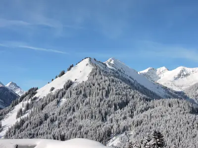 Winterpanorama