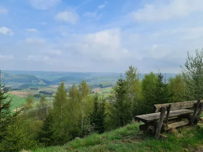 Ferienwohnung für 3 Personen (53 m²) in Bestwig 3/10