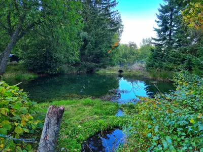Ferienwohnung für 3 Personen (53 m²) in Bestwig 7/10