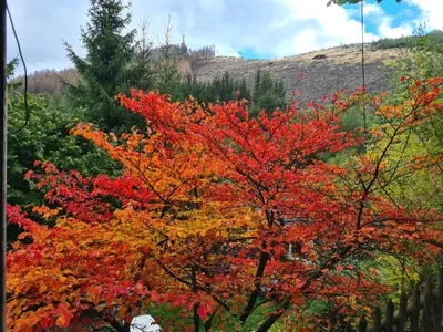 Ferienwohnung für 3 Personen (53 m²) in Bestwig 8/10