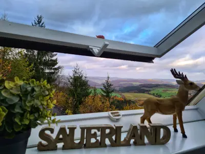 Ferienwohnung für 4 Personen (56 m²) in Bestwig 1/10