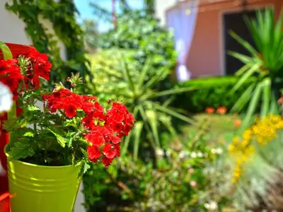 Ferienwohnung für 4 Personen in Betina 4/10