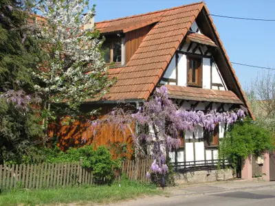 Bild 2