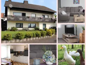 Ferienwohnung für 2 Personen (68 m²) in Bettenfeld