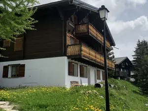 Ferienwohnung für 4 Personen in Bettmeralp