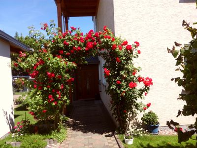 Ferienwohnung für 5 Personen (62 m²) in Beverungen 2/10