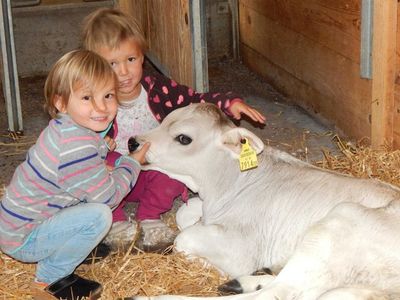 Ferienwohnung für 4 Personen (55 m²) in Bezau 5/10