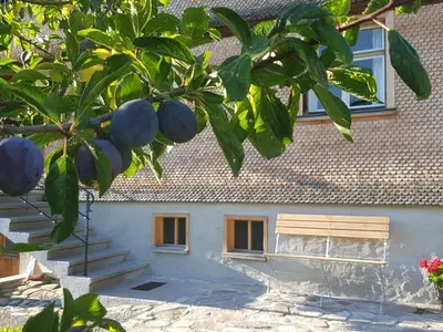 Ferienwohnung für 4 Personen (100 m²) in Bezau 4/10
