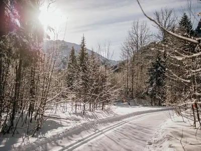 Ferienwohnung für 6 Personen (120 m²) in Bezau 9/10
