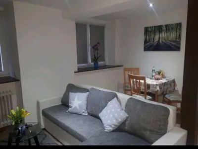 Ferienwohnung für 2 Personen (48 m²) in Biberach 7/10