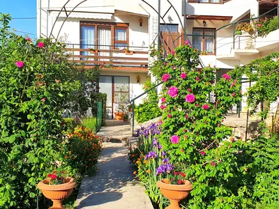 house