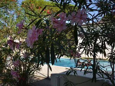 Ferienwohnung für 7 Personen (50 m²) in Bibione 6/10