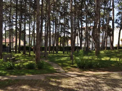 Ferienwohnung für 6 Personen (55 m²) in Bibione 8/10