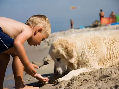 Ferienwohnung für 4 Personen (25 m²) in Bibione 8/10