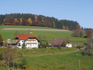 Ferienwohnung für 7 Personen (90 m&sup2;) in Biederbach