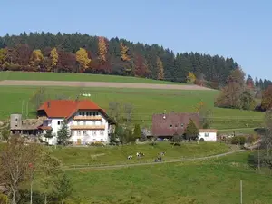 Ferienwohnung für 7 Personen (90 m²) in Biederbach
