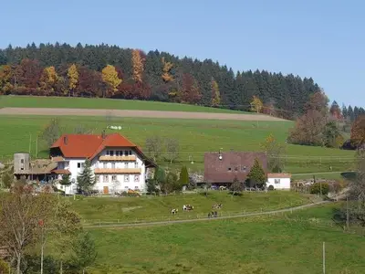 Ferienwohnung für 7 Personen (90 m²) in Biederbach 1/10