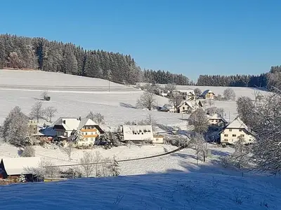 Ferienwohnung für 7 Personen (90 m²) in Biederbach 3/10