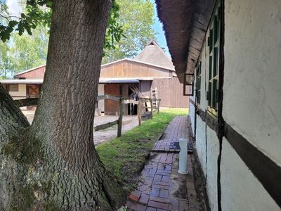 Ferienwohnung für 4 Personen (52 m²) in Biendorf 2/10