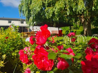 Ferienwohnung für 3 Personen (45 m²) in Biendorf 2/10