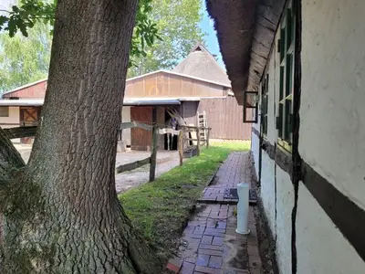 Ferienwohnung für 4 Personen (52 m²) in Biendorf 2/10