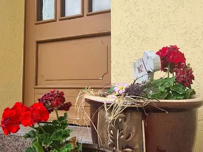 Ferienwohnung für 6 Personen (70 m²) in Körchow 4/10