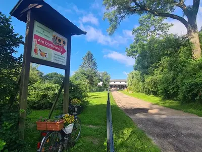 Ferienwohnung für 3 Personen (45 m²) in Biendorf 4/10