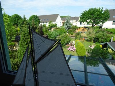 Blick in den Garten