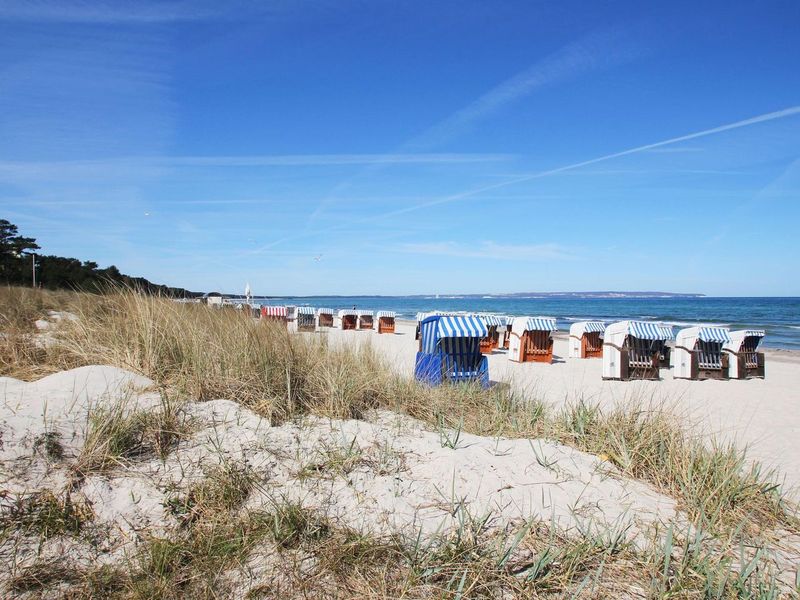 23071339-Ferienwohnung-2-Binz (Ostseebad)-800x600-1