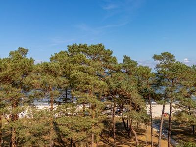 Ferienwohnung für 3 Personen in Binz (Ostseebad) 10/10