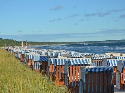 Ferienwohnung für 4 Personen (52 m²) in Binz (Ostseebad) 3/10