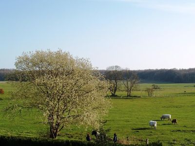 Ausblick aus dem Fenster. Aussicht im Frühjahr vom Balkon