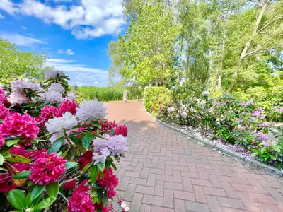 Ferienwohnung für 3 Personen (46 m²) in Binz (Ostseebad) 6/10