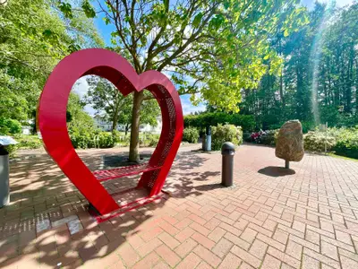 Ferienwohnung für 3 Personen (46 m²) in Binz (Ostseebad) 8/10
