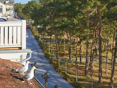 Ferienwohnung für 4 Personen (55 m²) in Binz (Ostseebad) 7/10