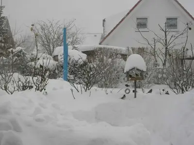 Ferienwohnung für 2 Personen (32 m²) in Binz (Ostseebad) 4/10