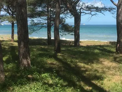 Ferienwohnung für 5 Personen (48 m²) in Binz (Ostseebad) 8/10