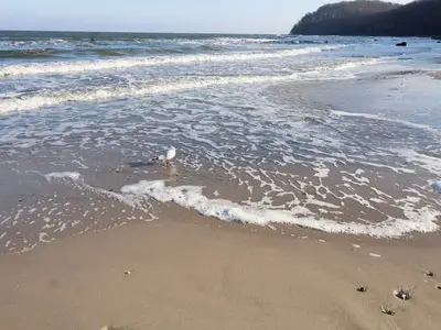 Ferienwohnung für 4 Personen (89 m²) in Binz (Ostseebad) 5/10