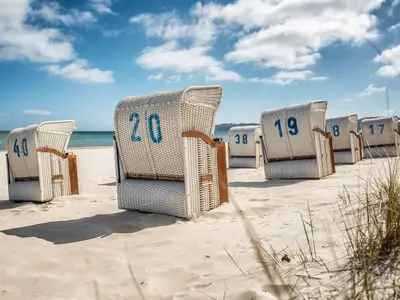 Ferienwohnung für 3 Personen (52 m²) in Binz (Ostseebad) 4/10