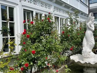 Ferienwohnung für 3 Personen (50 m²) in Binz (Ostseebad) 4/10