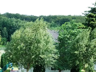Ferienwohnung für 3 Personen (50 m²) in Binz (Ostseebad) 9/10