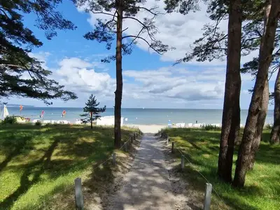 Ferienwohnung für 4 Personen (52 m²) in Binz (Ostseebad) 2/10