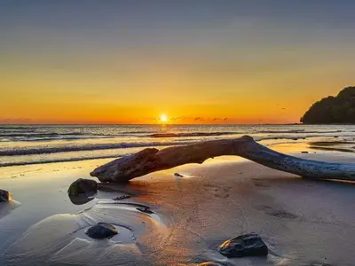 Ferienwohnung für 4 Personen (50 m²) in Binz (Ostseebad) 4/10