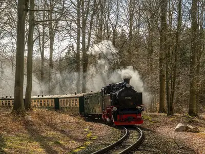 Ferienwohnung für 4 Personen (50 m²) in Binz (Ostseebad) 5/10