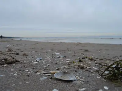 Ferienwohnung für 5 Personen (40 m²) in Binz (Ostseebad) 10/10