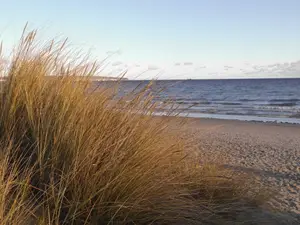 Ferienwohnung für 4 Personen (68 m²) in Binz (Ostseebad)