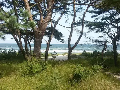 Ferienwohnung für 4 Personen (68 m²) in Binz (Ostseebad) 2/10